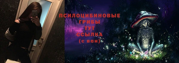 соль курить ск Белокуриха