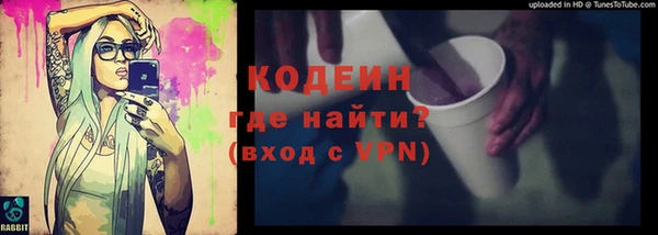молекула духа Богородицк