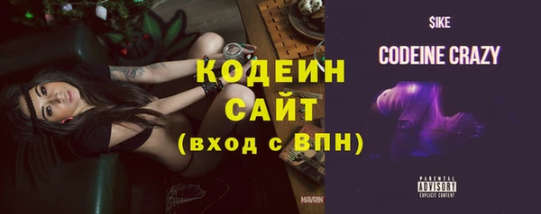 молекула духа Богородицк