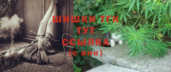 молекула духа Богородицк