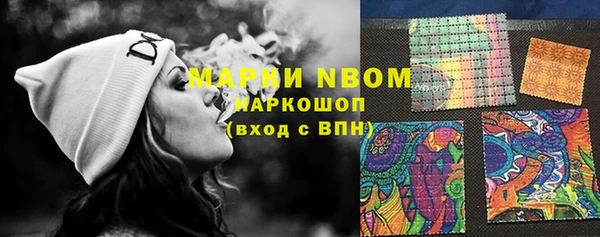 молекула духа Богородицк