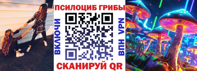 Псилоцибиновые грибы Psilocybe  Богучар 